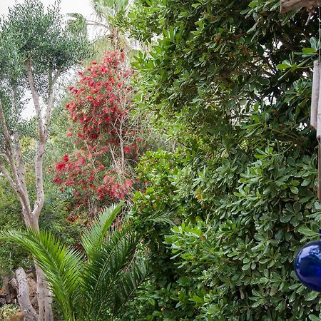 Homey Suite In Zichron Yaakov Zikhron Ya'akov Dış mekan fotoğraf