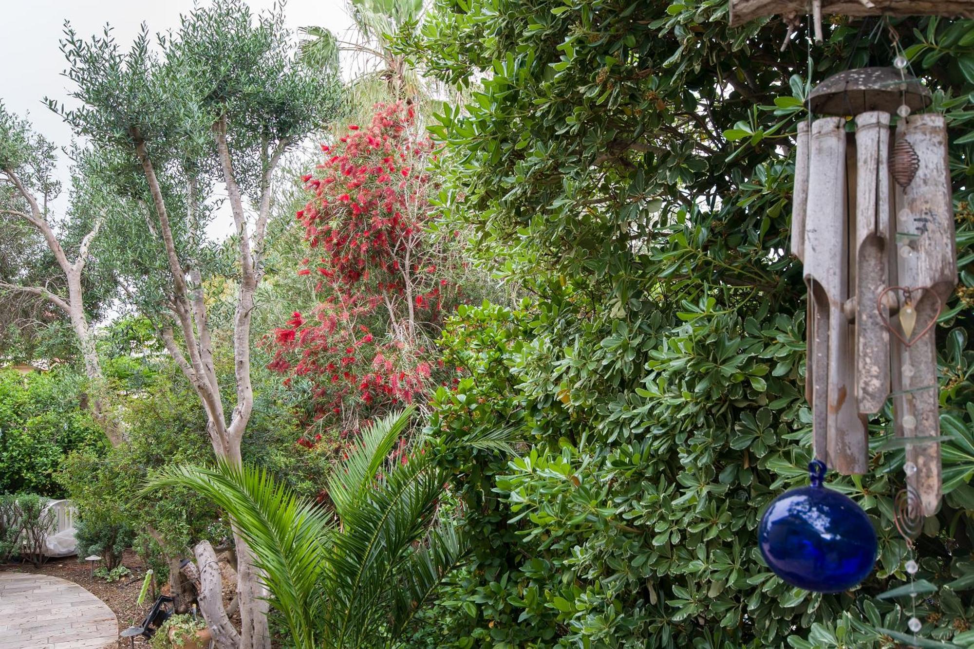 Homey Suite In Zichron Yaakov Zikhron Ya'akov Dış mekan fotoğraf